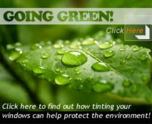 Green Window Tinting Products